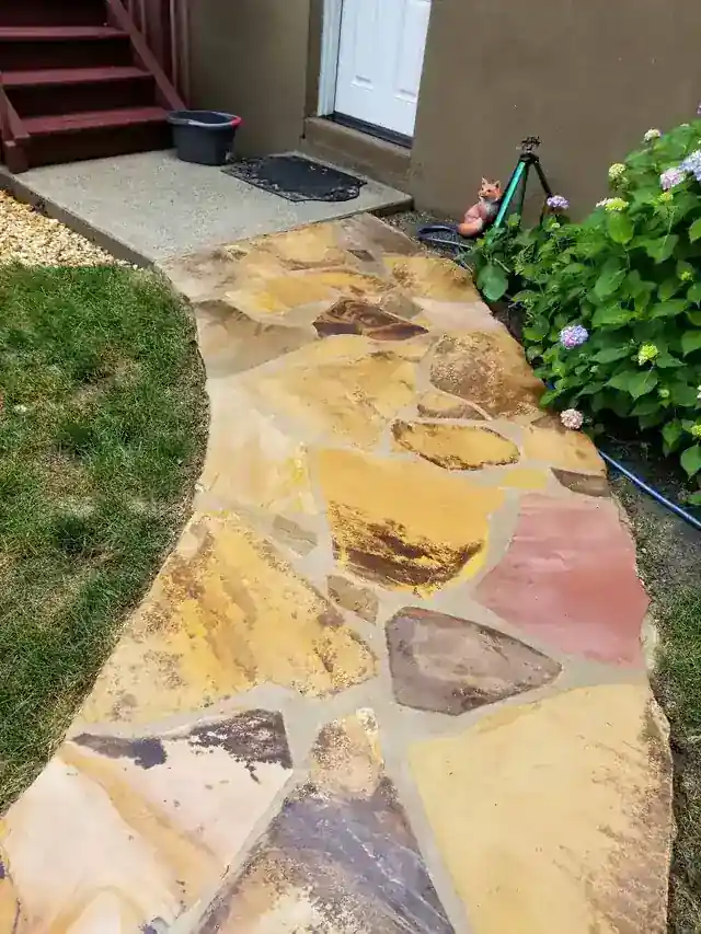 Colourful flagstone garden path, washed, beside hydrangeas