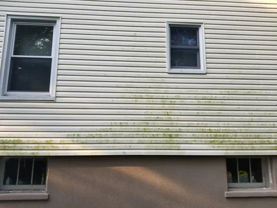 Why the north side of your house turns green