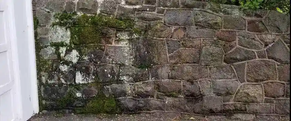 Fieldstone wall before washing